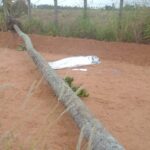 Menina atingida por coqueiro permanece em coma