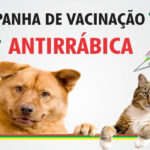 Campanha de vacinação antirrábica começa dia 10