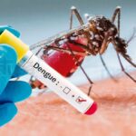 Sergipe registra mais de oito mil casos de Dengue e Chikungunya, diz SES