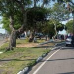 Motociclista morre após chocar veículo contra árvore em Aracaju