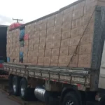 45 mil maços de cigarro são apreendidos durante abordagem a um caminhão na Rodovia SE-170
