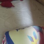 Denunciado por exploração sexual, homem é preso com duas crianças dentro de casa em Itabaiana
