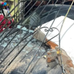 Uma casa foi invadida por um carro, a condutora não tinha CNH (carteira nacional de habilitação) e recusou o teste do bafômetro