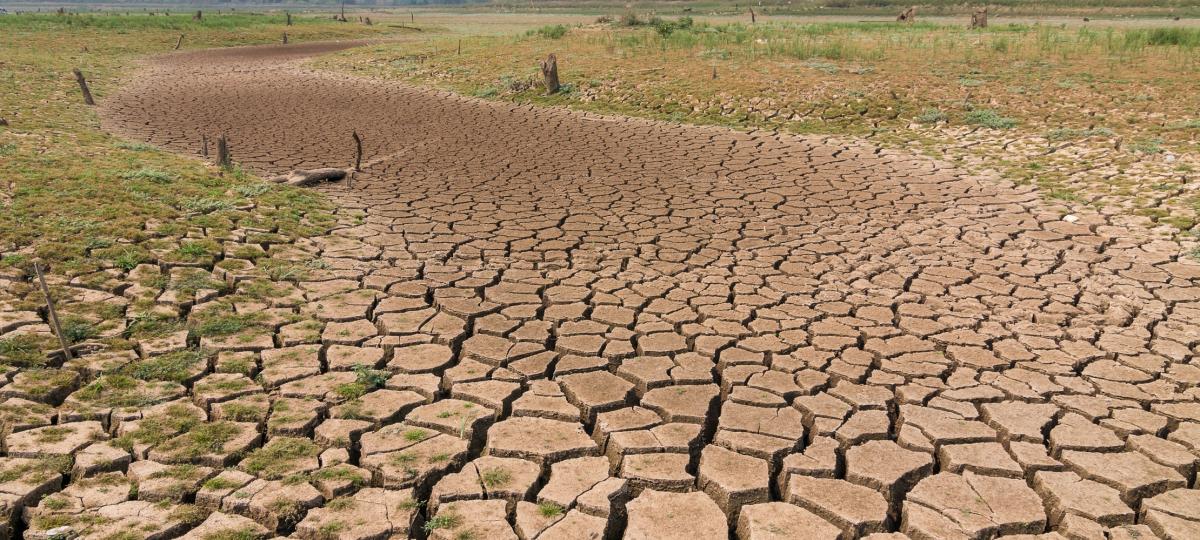 Mais de 63 mil pessoas enfrentam situação de estiagem e seca em Sergipe