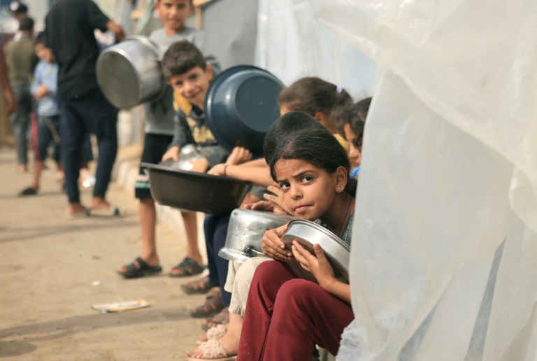 de acordo com a ONU, metade da população da Faixa de Gaza está passando fome