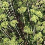 Helicóptero desaparecido desde o dia 31 de dezembro de 2023 foi encontrado, não há sobreviventes