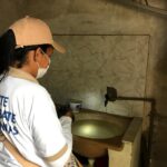 Aedes aegypti: primeira coleta do LIRAa inicia nesta segunda
