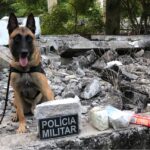 PM apreende quase meio quilo de maconha em terreno de fábrica abandonada