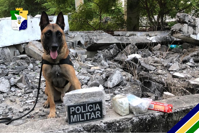 PM apreende quase meio quilo de maconha em terreno de fábrica abandonada