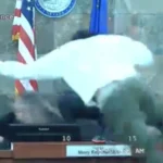 Veja o momento em que réu “voa” em juíza e a agride em Las Vegas