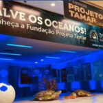 Shopping Riomar recebe exposição do “Projeto Tamar”.