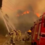Número de mortos causados pelos incêndios florestais no Chile sobe para 99 pessoas