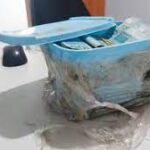 Casa onde foram encontrados R$ 60 mil enterrados dentro de um pote de sorvete pertencia à mãe do ex-secretário da Saúde do tocantins, Afonso Piva