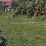 Criança de um mês é abandonada em canal e resgatada por populares no 17 de março