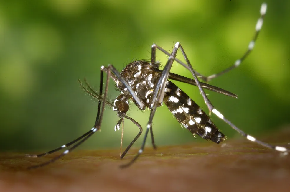 Homem morre com suspeita de dengue e causa da morte será investigada.