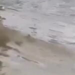Chuvas em Aracaju superam a média esperada para Abril e causa alagamentos na cidade. 