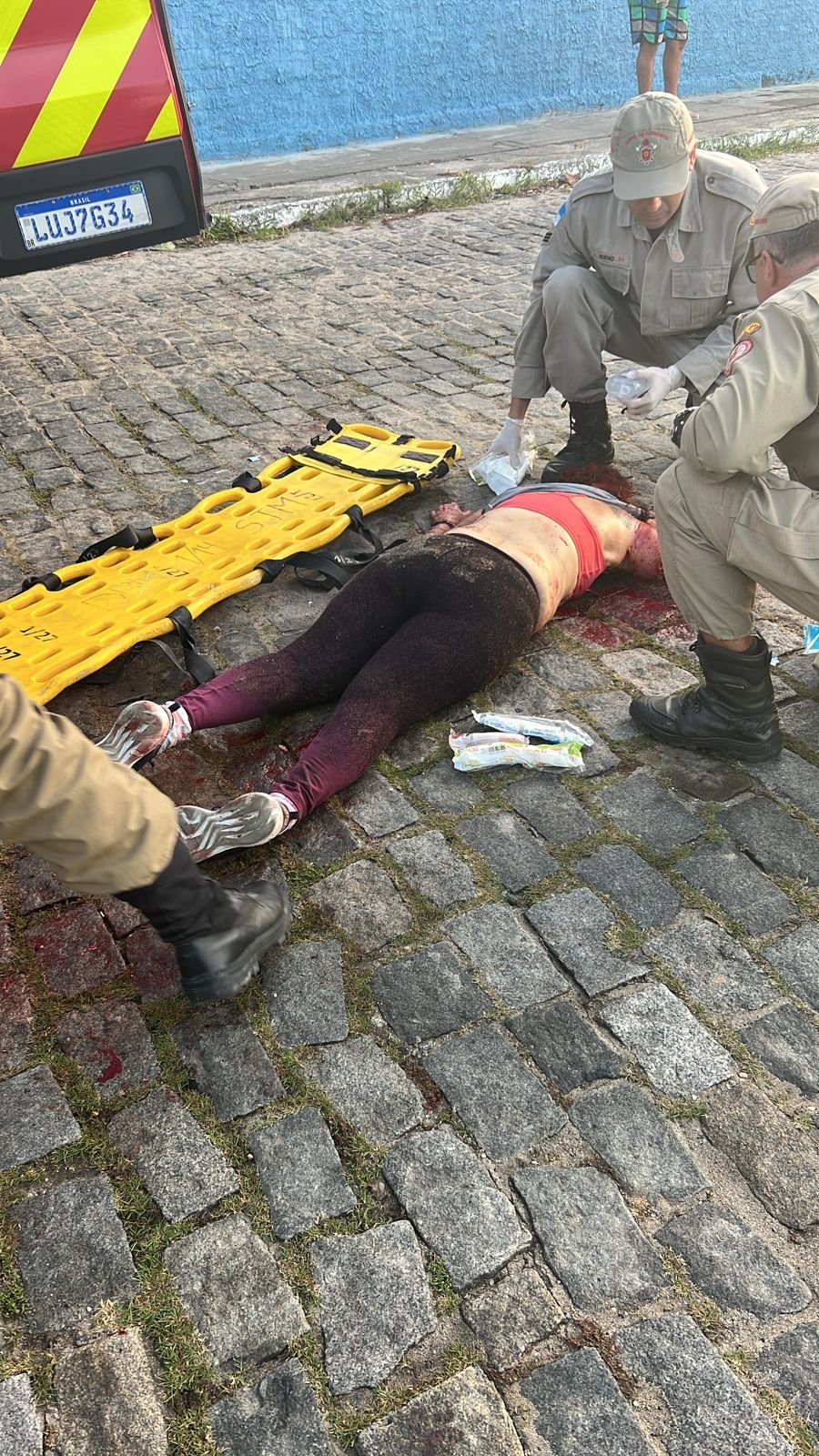 Escritora Roseana Murray é atacada por Pitbulls e tem parte do braço arrancado