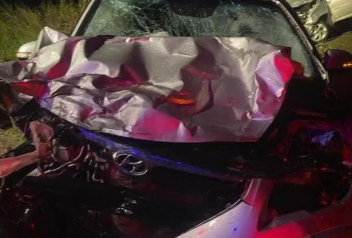 Motorista morre após colidir em uma vaca,próximo a Lagarto Motorista morre após colidir em uma vaca,próximo a Lagarto