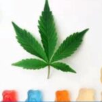 Criança morre após consumir bala de maconha do pai