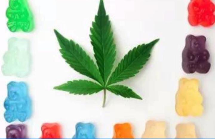 Criança morre após consumir bala de maconha do pai Criança morre após consumir bala de maconha do pai