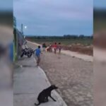 Suspeito de atear fogo e, consequentemente, matar amigo após ser chamado de “corno safado” foi preso