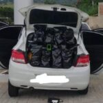 Polícia Militar apreende 16,55 kg de maconha em Santa Luzia do Itanhy