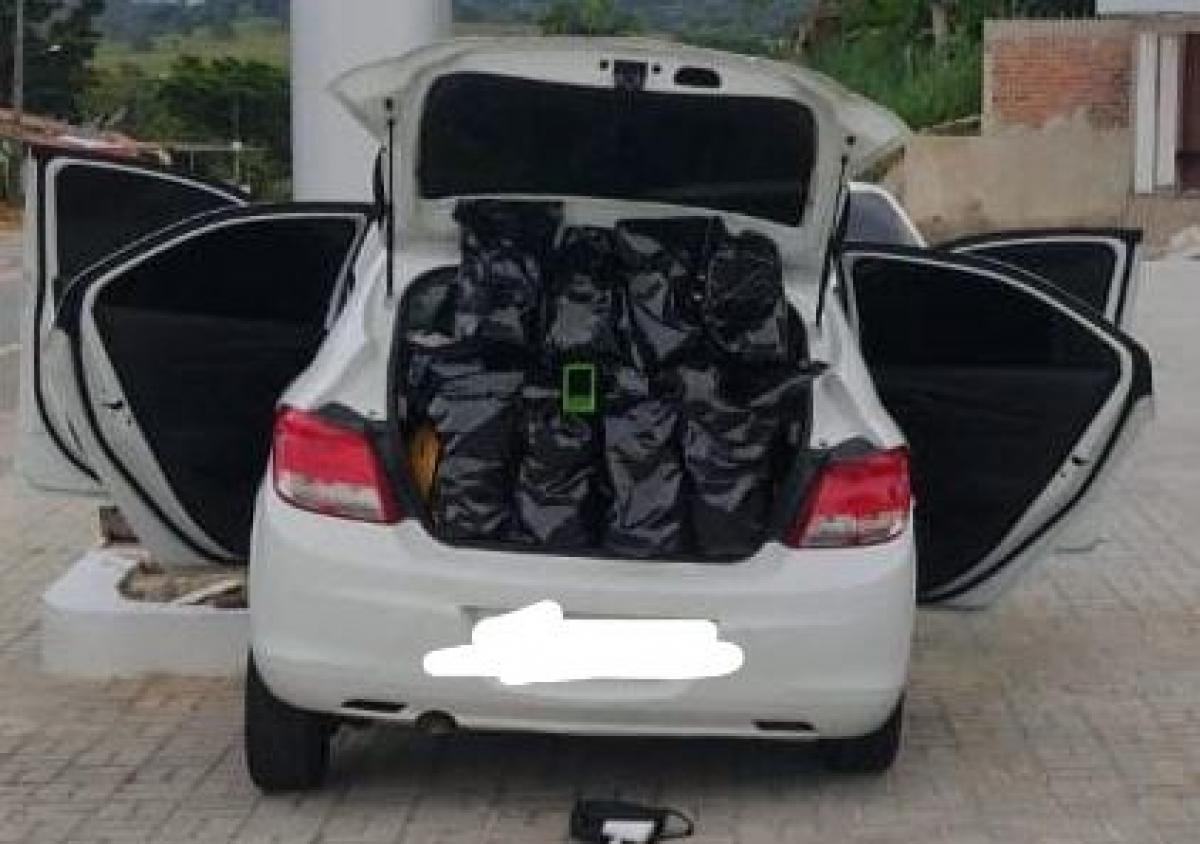 Polícia Militar apreende 16,55 kg de maconha em Santa Luzia do Itanhy