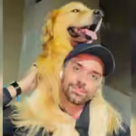 Um cão de raça Golden Retriever morreu após uma companhia aérea cometer um erro