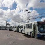 Dez novos ônibus foram atribuídos à frota da Grande Aracaju