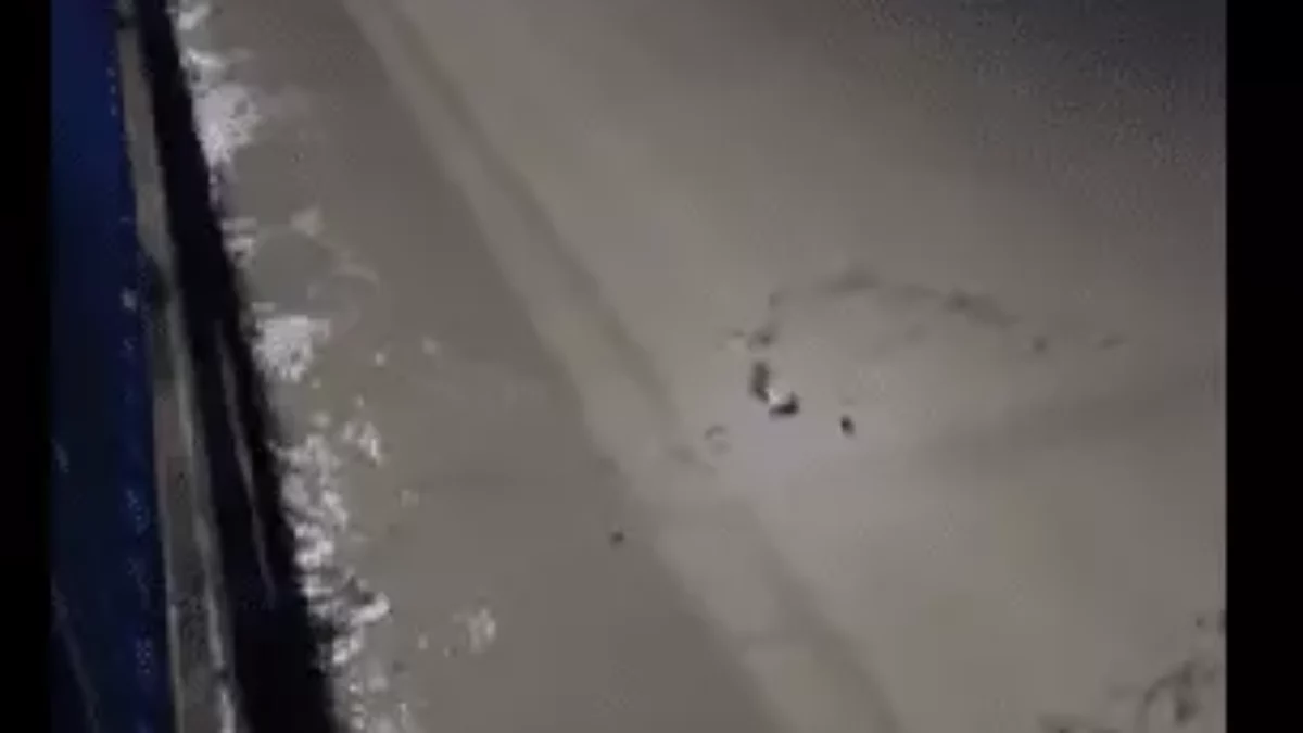 Uma mulher foi vista agarrada a tronco em enchente para não se afogar