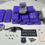 Ação conjunta apreende mais de 13 kg de drogas em Itabaiana