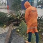 Ventos de até 73 km/h derrubaram um coqueiro e arrastaram cadeiras