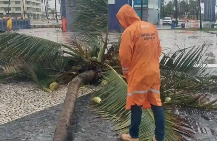 Ventos de até 73 km/h derrubaram um coqueiro e arrastaram cadeiras Ventos de até 73 km/h derrubaram um coqueiro e arrastaram cadeiras