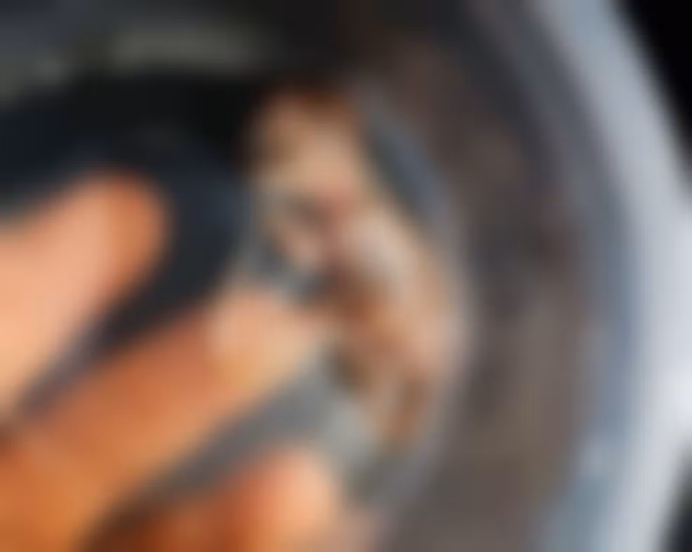 Feto é encontrado dentro de vasilha em Boquim Feto é encontrado dentro de vasilha em Boquim