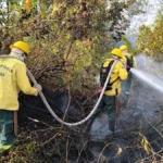 Fogo, fumaça e “chuva preta” atingem países vizinhos do Brasil