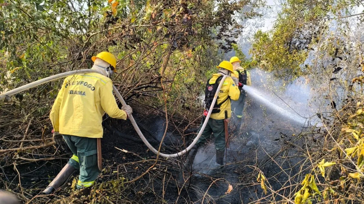 Fogo, fumaça e “chuva preta” atingem países vizinhos do Brasil