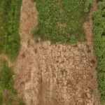 Rios sem água e floresta em chamas: o cenário devastador no Norte do Brasil