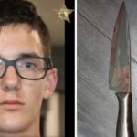 Adolescente esfaqueia a própria mãe após a mesma pagar fiança para libertá-lo