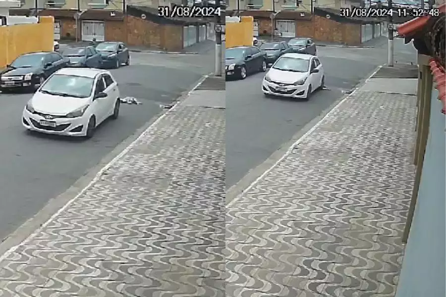 Cachorro é morto por motorista que o atropelou duas vezes seguidas