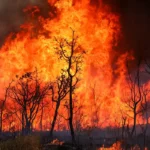 UnB e escolas suspendem aulas depois de queimadas atingirem o Parque Nacional de Brasília