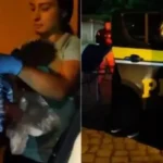 Bebê nasce dentro de viatura da PRF em Porto Alegre
