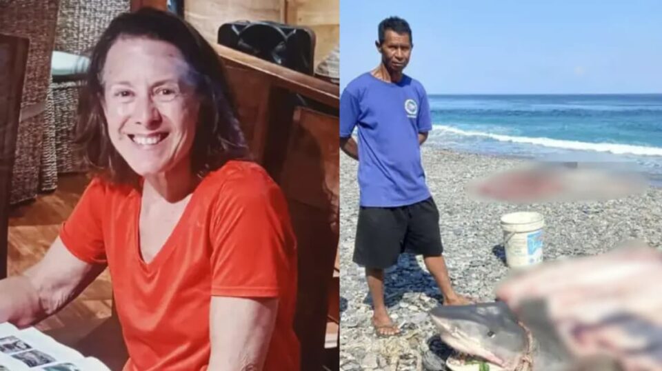  Pescador captura tubarão e, ao abri-lo, encontra restos mortais dentro do animal