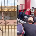 Suspeito de invadir comércio e agredir proprietário idoso é preso em Carira