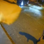 Carreta com carga de grãos de milho tomba em Propriá