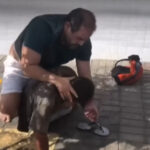 Homem aplica golpe de jiu-jitsu em entregador