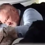 Homem surta e apanha de comissário ao atacar passageira em voo