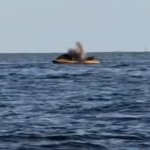 Casal é flagrado em momento íntimo em cima de jet ski no litoral paulista