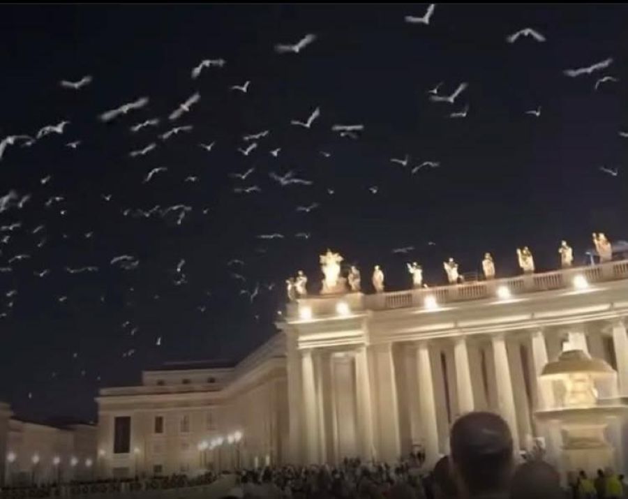 Pombas brancas e gaivotas sobrevoam o vaticano após velório de Papa Francisco