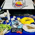 Homem é preso com drogas e cultivo de maconha em Poço Redondo