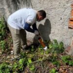 Aracaju registra terceiro caso de leptospirose em 2025